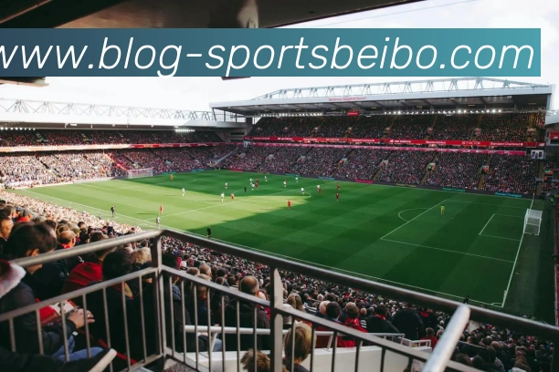 贝博体育APP 高清赛事图